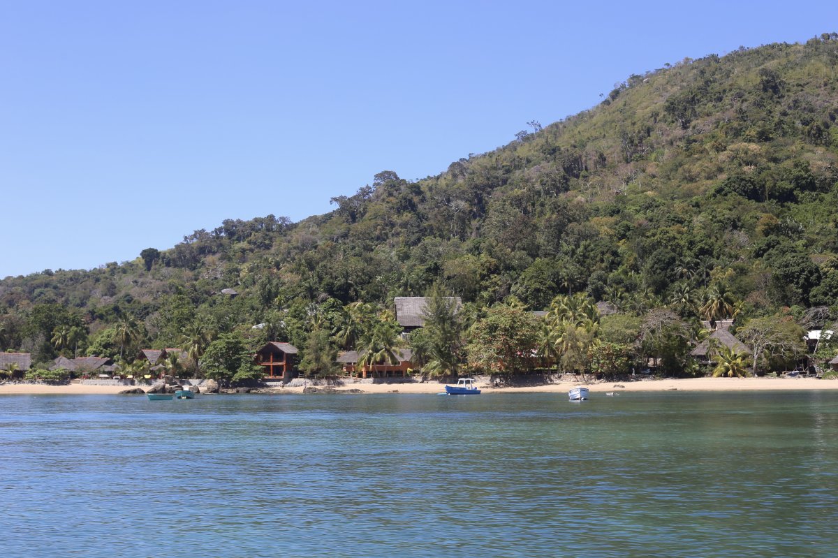 THE ISLAND OF SCENTS